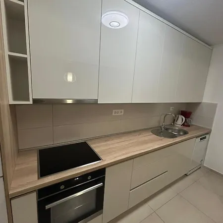 Smiljana Mucic マカルスカ